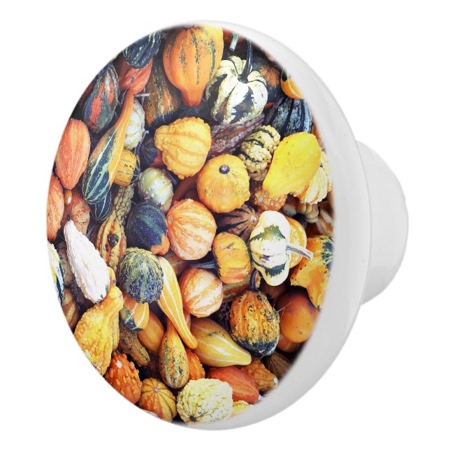 Bunte Gourds C Keramikknauf (Rechts)