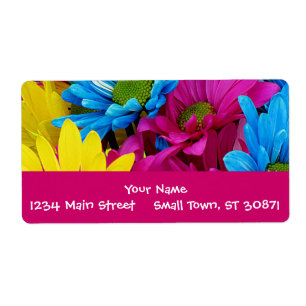 Bunte heißes Rosa aquamarine blaue Gerber