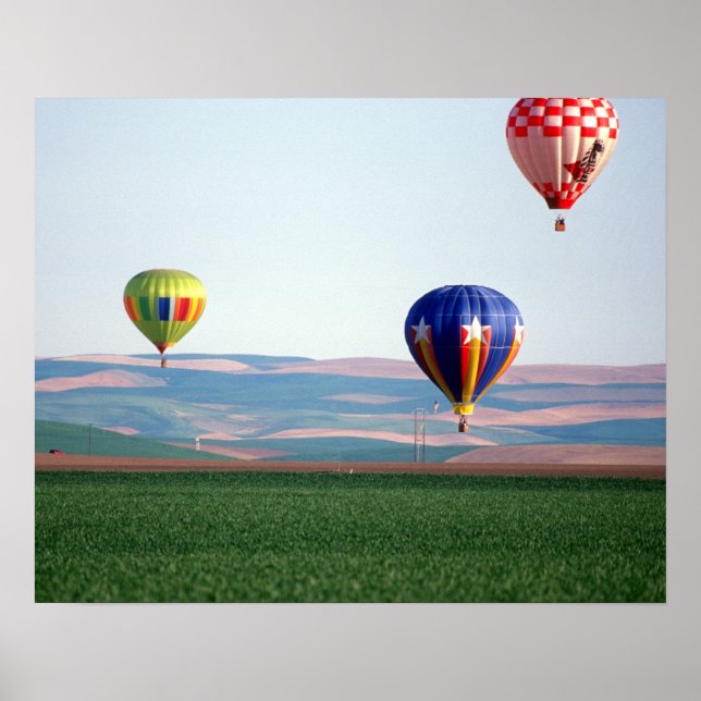 Bunte Heißluftballons schwimmen über Weizen Poster (Vorne)