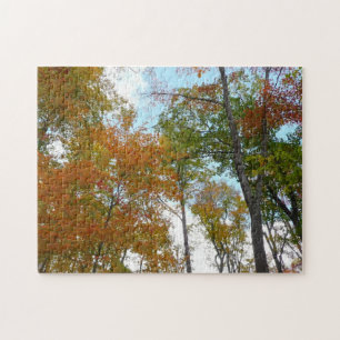 Bunte Herbstblätter in die Höhe blickend