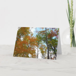 Bunte Herbstblätter in die Höhe blickend Karte
