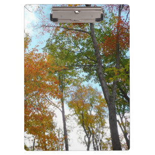 Bunte Herbstblätter in die Höhe blickend Klemmbrett