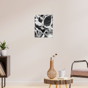Bunte Hosta Schwarz-Weiß-Blumenbild Poster