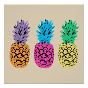Bunte illustrierte Ananas Poster