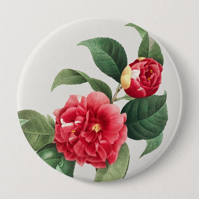 Bunte Kamelie, Pierre-Joseph Redouté, 1833 Button (Vorderseite)