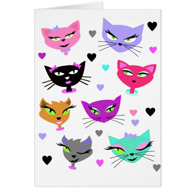 Bunte Katzen (Vorne)