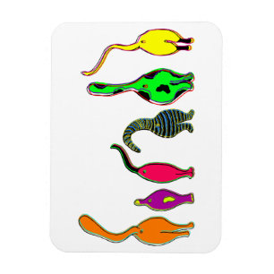 Bunte Katzenpopos Magnet