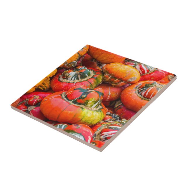 Bunte Kürbis Fliese (Seite)