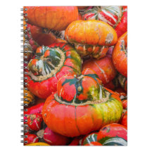 Bunte Kürbis