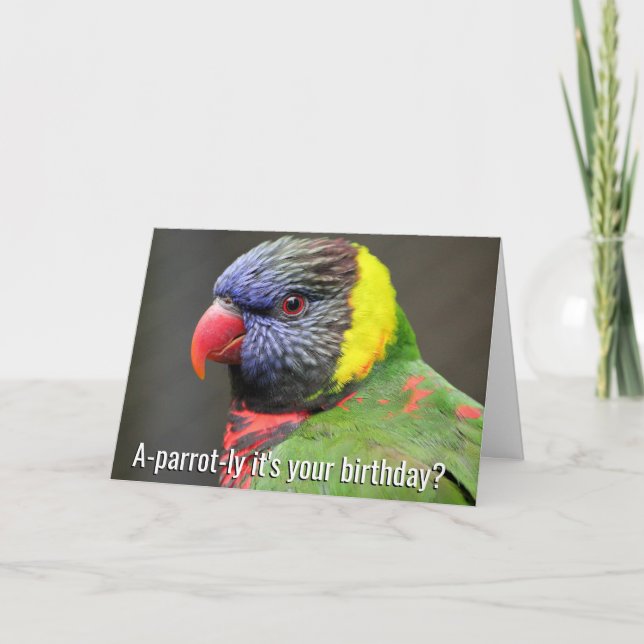 Bunte Lorikeet Geburtstags-Karte Karte (Vorderseite)
