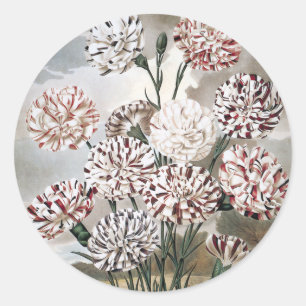 Bunte Nelken mit grauem Himmel im Vintage-Stil Runder Aufkleber