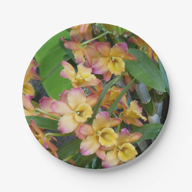 Bunte Orchideen-PapierTeller Pappteller (Vorderseite)