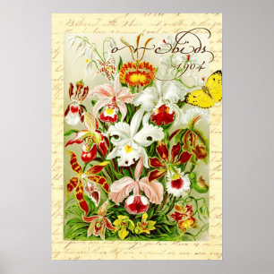 Bunte Orchideen und gelber Schmetterling Poster