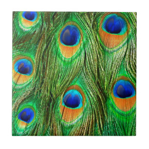 Bunte Pfauenfeder-Muster Fliese