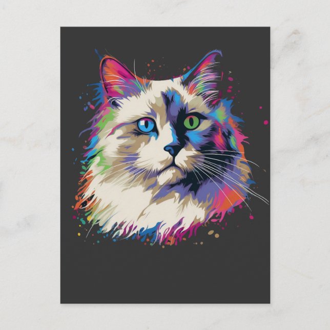 Bunte Ragdoll-Katze Postkarte (Vorderseite)