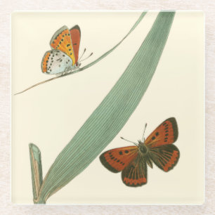 Bunte Schmetterlinge, die um ein Blatt flattern Glasuntersetzer