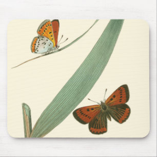 Bunte Schmetterlinge, die um ein Blatt flattern Mousepad