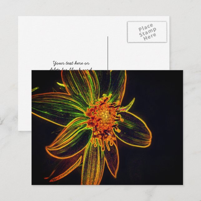 Bunte Sonnenblumen-Abstract Flower Art Postkarte (Vorne/Hinten)