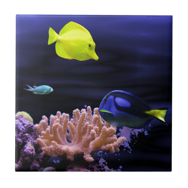 Bunte tropische Fische Fliese (Vorderseite)