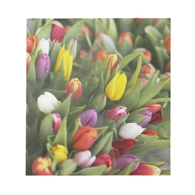 Bunte Tulpen Notizblock (Vorderseite)