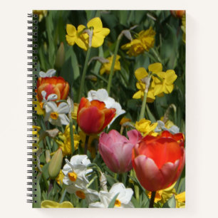 Bunte Tulpen- und Narzissen-Notizbuch Notizbuch