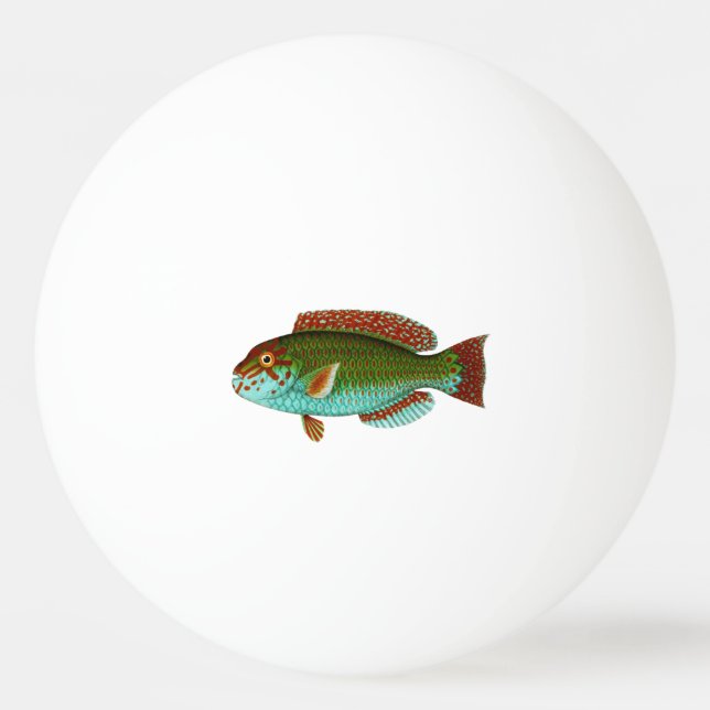Bunte Vintage Fische Tischtennisball (Vorderseite)