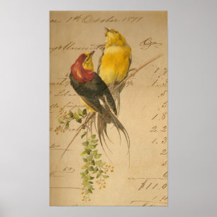 Bunte Vintage Vögel auf Vintagem Hauptbuch-Papier Poster