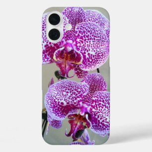 Bunte violette Orchideen Nahaufnahme-Fotografie iPhone 16 Plus Hülle