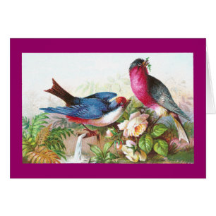 Bunte Vögel, Rosen u. Waterspout