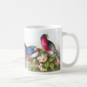 Bunte Vögel, Rosen u. Waterspout Kaffeetasse