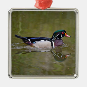 Bunte Waldschnatter Ornament Aus Metall