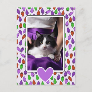 Bunte Weihnachtslichter Katze Postkarte