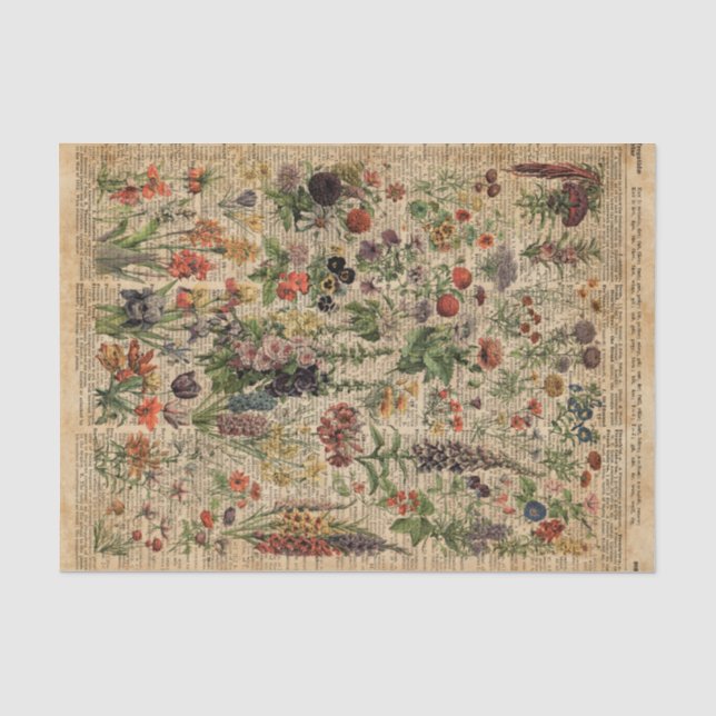Bunte Wiesen-Blumen-Kraut-Wörterbuch-Kunst Seidenpapier (Vorderseite)