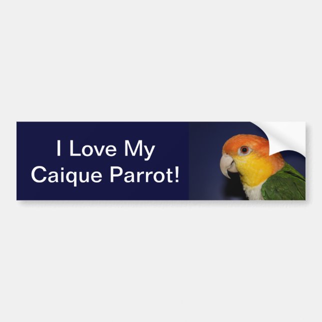 Bunter Caique-Papagei Autoaufkleber (Vorne)
