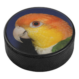 Bunter Caique-Papagei Eishockey Puck