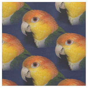 Bunter Caique-Papagei Stoff