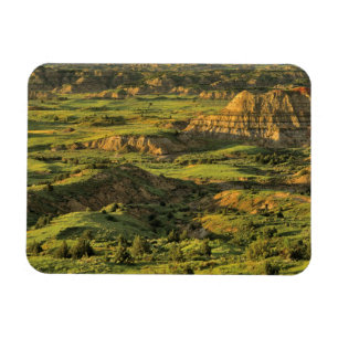 Bunter Canyon nach dem Sturm in Theodore Roosevelt Magnet