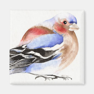 Bunter Chaffinch 2011 Magnet