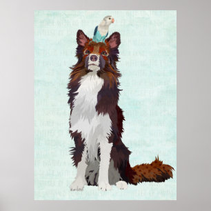BUNTER COLLIE U. BLAUER VOGEL POSTER