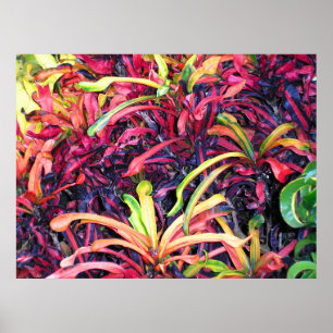Bunter Efeu - Plakat