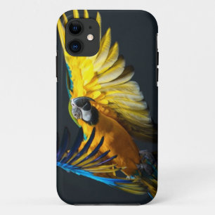 Bunter Fliegen Ara auf einem dunklen Hintergrund iPhone 11 Hülle