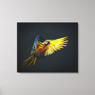 Bunter Fliegen Ara auf einem dunklen Hintergrund Leinwanddruck