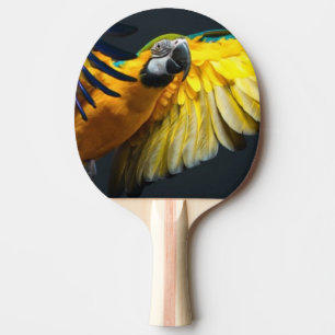 Bunter Fliegen Ara auf einem dunklen Hintergrund Tischtennis Schläger