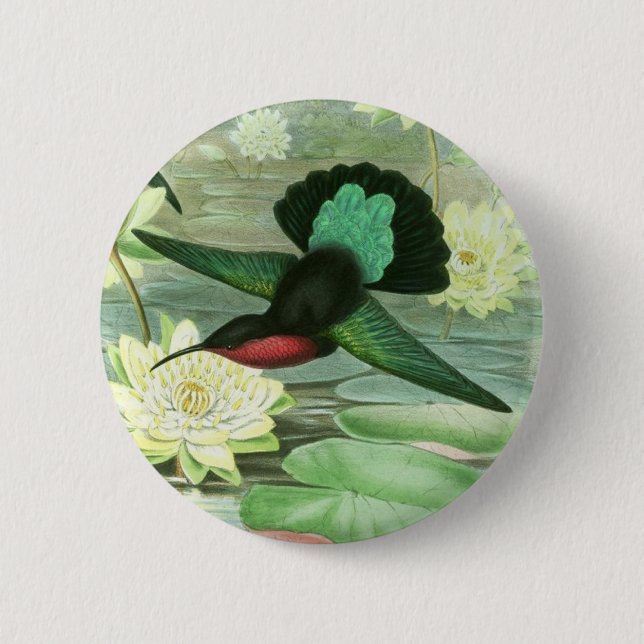 Bunter Gould Kolibri-rundes Knopf-Button Button (Vorderseite)
