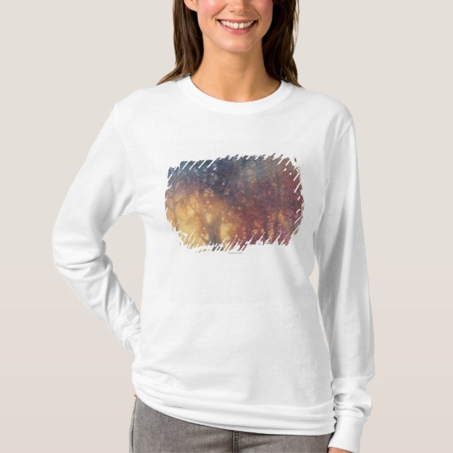 Bunter Herbst T-Shirt (Vorderseite)
