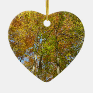 Bunter Herbstlaub III Blick nach oben in die Herbs Keramik Ornament