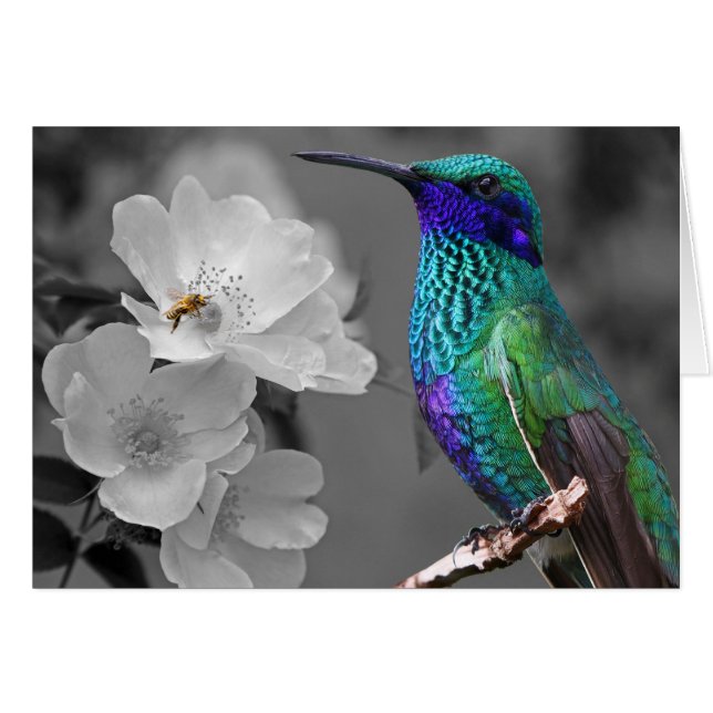 Bunter Kolibri, Blumen und Bienen-Karte (Vorderseite (Horizontal))