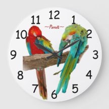 Bunter Macaw plappert Wanduhr nach