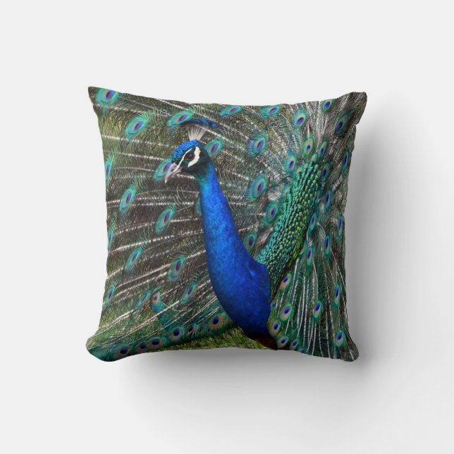 Bunter männlicher Pfau Kissen (Vorderseite)
