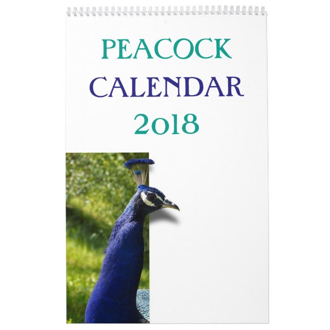 Bunter Pfau 2017 Kalender (Titelbild)